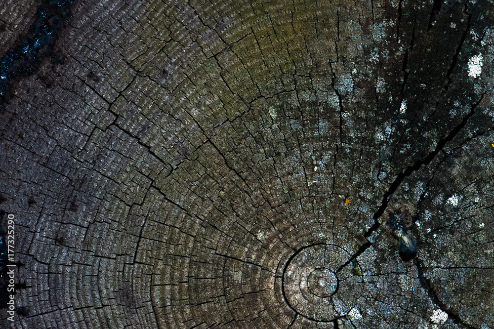 Fototapeta premium Front view of Dark grey old timber texture or background