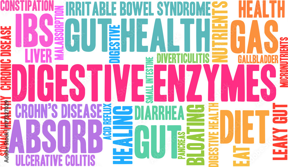 Digestive Enzymes Word Cloud on a white background. Digestive Enzymes Word Cloud on a white background.