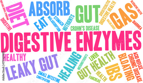 Digestive Enzymes Word Cloud on a white background. 