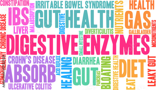 Digestive Enzymes Word Cloud on a white background. 