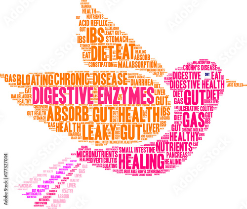 Digestive Enzymes Word Cloud on a white background. 
