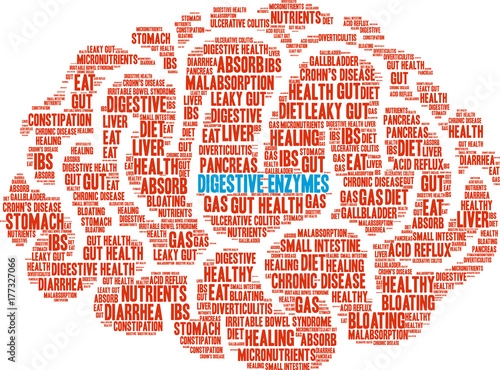 Digestive Enzymes Word Cloud on a white background. 