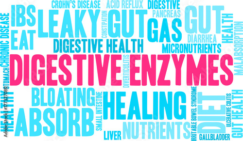 Digestive Enzymes Word Cloud on a white background. 