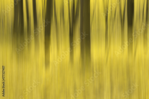 Abstract image of fall in forest. Blurred in motion © epnov