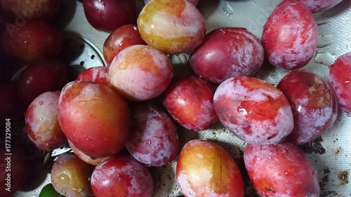 Big plums