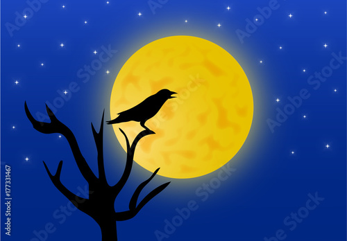 Il corvo e la luna piena