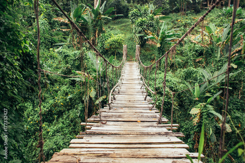 Wide shot of wooden rope hung bridge in the jungle photo