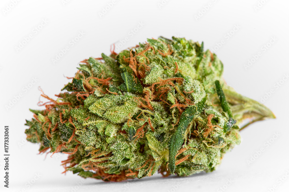 Close up of prescription medical marijuana strain AK47 flower on white background Close up of prescription medical marijuana strain AK47 flower on white background