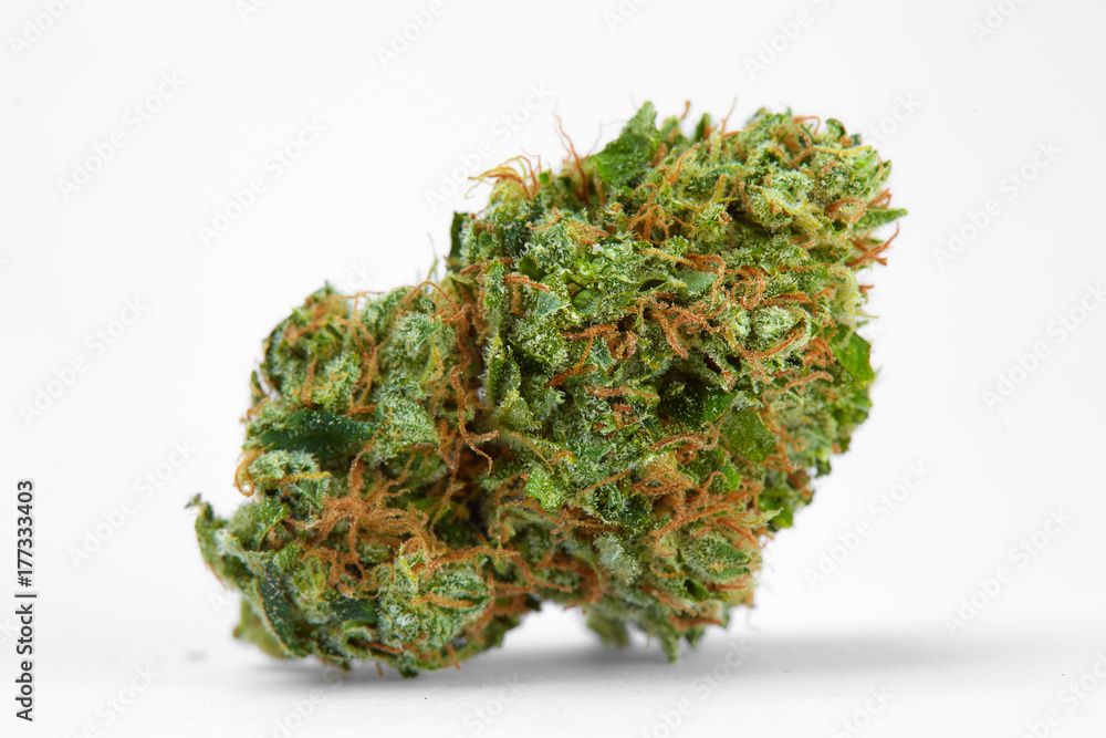 Close up of prescription medical marijuana strain AK47 flower on white background Close up of prescription medical marijuana strain AK47 flower on white background