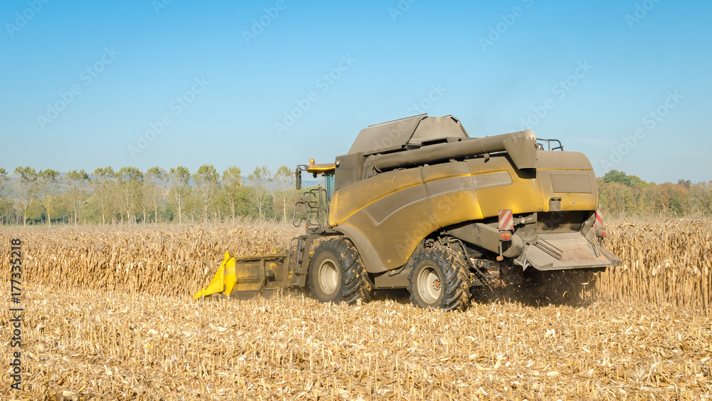 Obraz premium yellow combine harvester at work