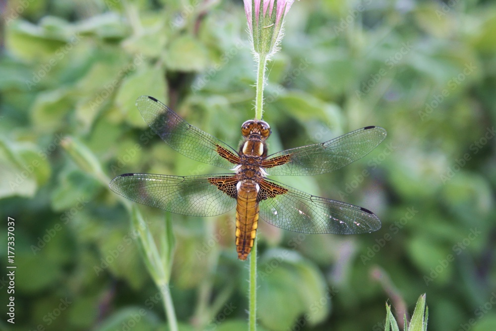 Keksa ayollarning porno fotosuratlari Yalangoch afrikalik ayollarning haqiqiy fotosuratlari