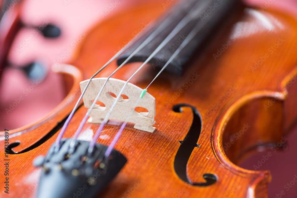 Violin close-up abstract showing bridge and body structure Violin close-up abstract showing bridge and body structure