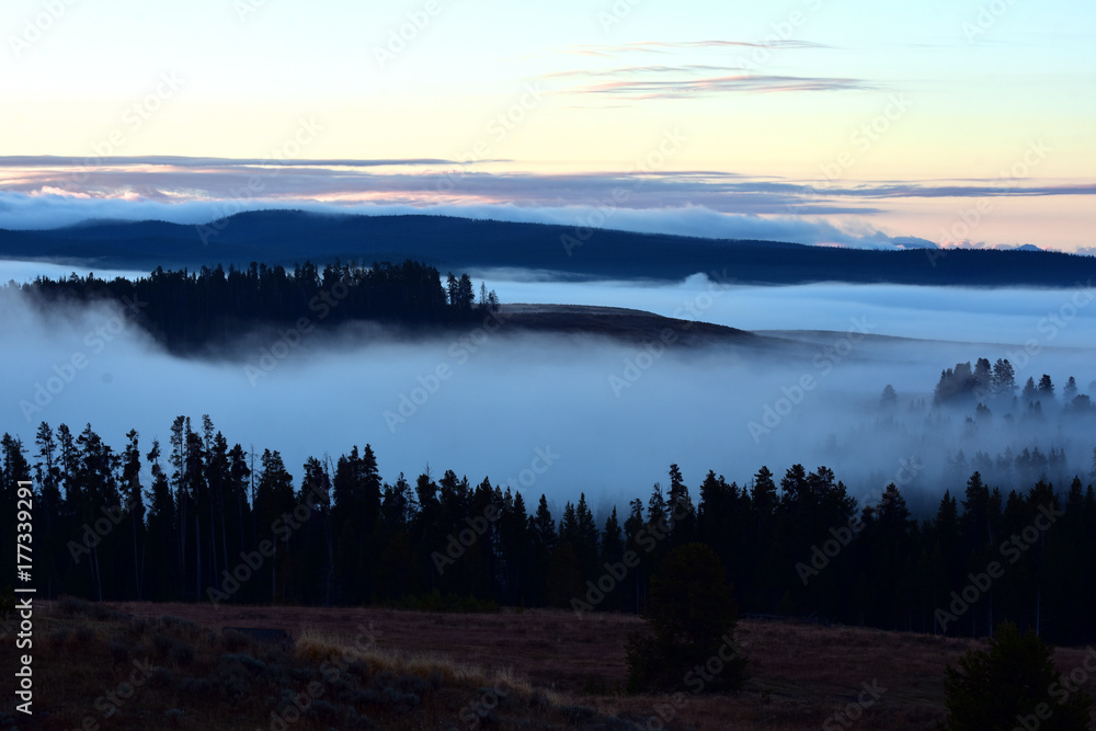Misty Foggy Forest Sunrise Misty Foggy Forest Sunrise