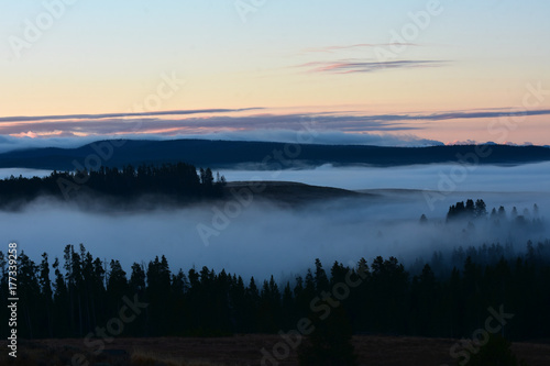 Misty Foggy Forest Sunrise