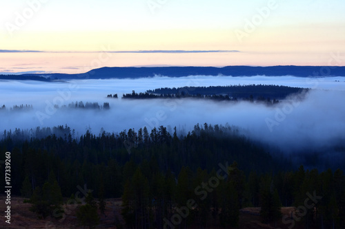 Misty Foggy Forest Sunrise