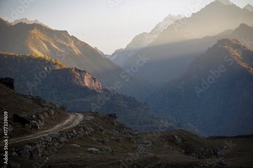 Вечер в горах. панорама живописного ущелья, природа Северного Кавказа