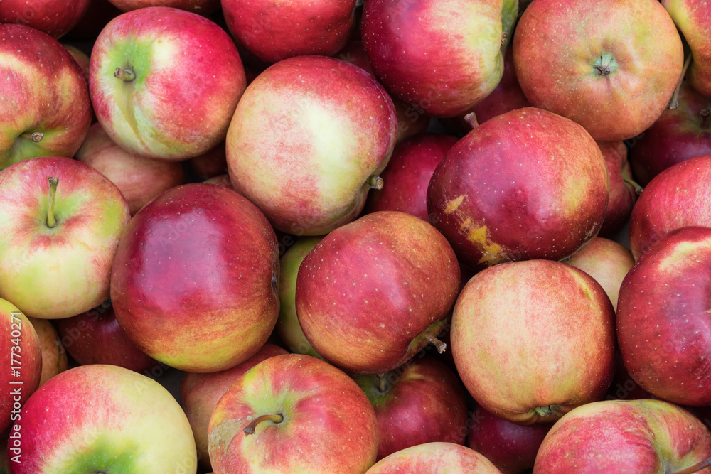 A bunch of beautiful fresh red, yellow, and green apples. Apples are in several layers. Useful fruits for health. Apples are for sale in the market. Food for weight loss. A bunch of beautiful fresh red, yellow, and green apples. Apples are in several layers. Useful fruits for health. Apples are for sale in the market. Food for weight loss.
