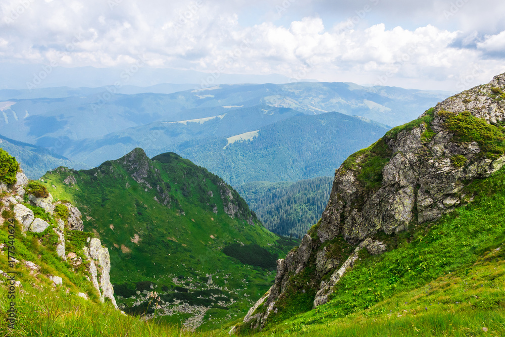 Naklejka premium green mountains of Ukraine, Carpathians