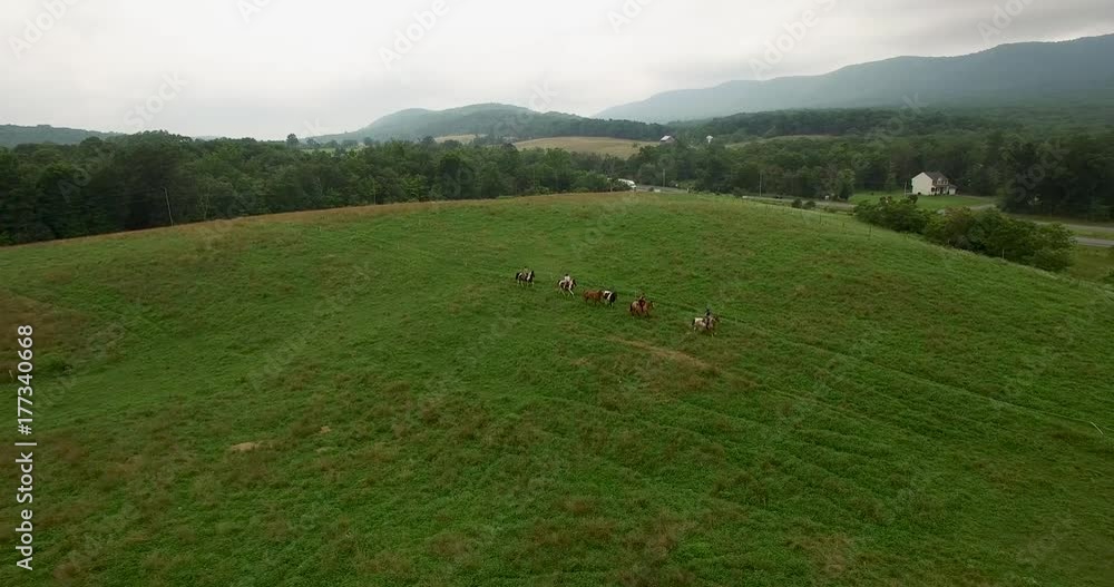 Four female horseback riders trot their horses across a field with mountains in the distance on a summer day in Virginia. Four female horseback riders trot their horses across a field with mountains in the distance on a summer day in Virginia.