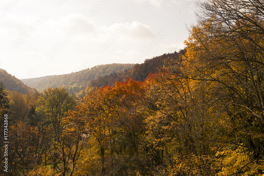 Mountain with trees and blue sky in autumn landscape Mountain with trees and blue sky in autumn landscape