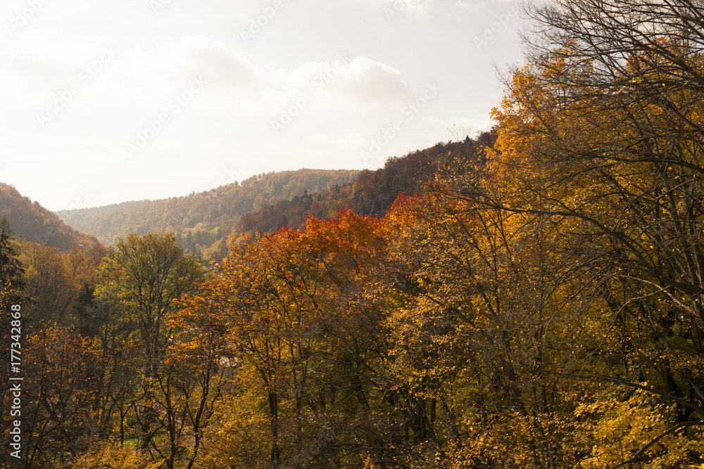 Mountain with trees and blue sky in autumn landscape