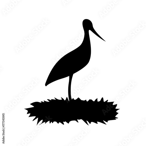 stork in nest illustration