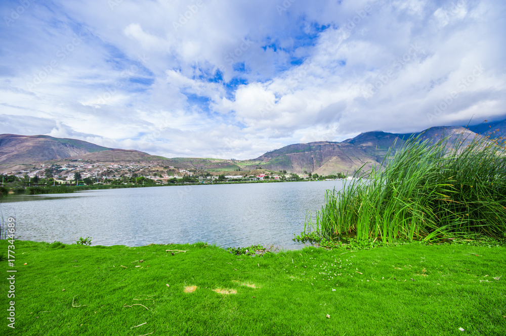 Beautiful view of some typical plants in the beautiful lake in Yahuarcocha , with a gorgeous cloudy day with the mountain behind in Ecuador Beautiful view of some typical plants in the beautiful lake in Yahuarcocha , with a gorgeous cloudy day with the mountain behind in Ecuador