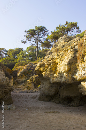 Typical exposed sedimentary sand stone cliff face on the Praia da Oura beach in Albuferia with Pine trees at the top © Michael
