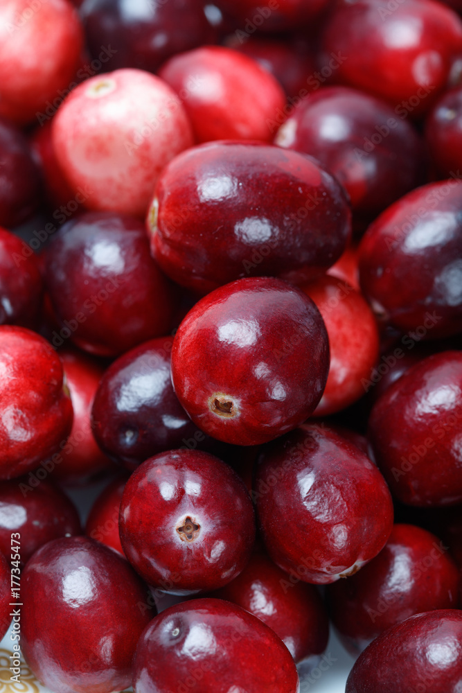 red cranberry fruit red cranberry fruit