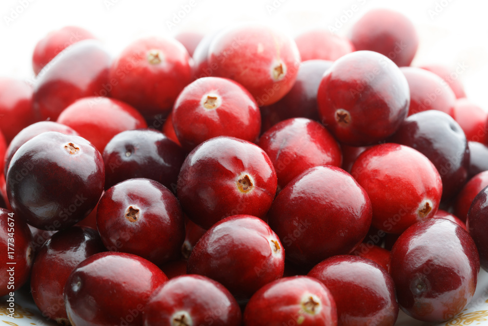 red cranberry fruit red cranberry fruit