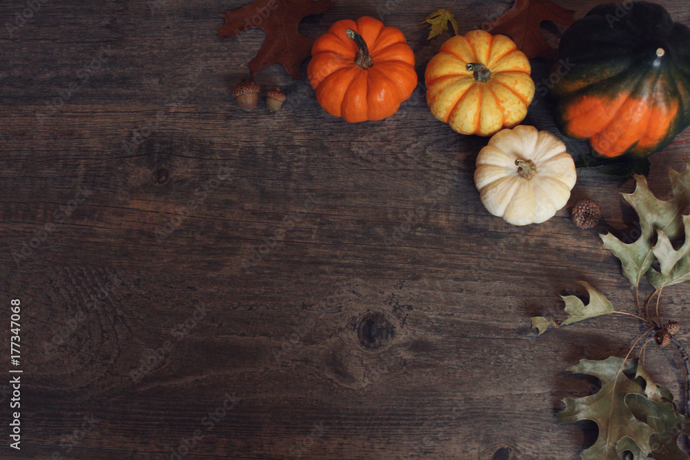 Fall Thanksgiving and Halloween pumpkins, leaves, acorn squash over dark wood table background shot from directly above