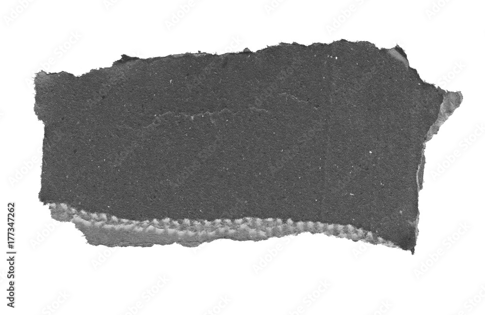 paper tear background with copy space paper tear background with copy space
