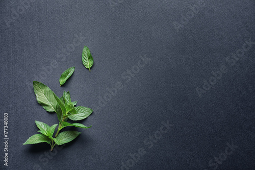 Fresh mint on dark grey background