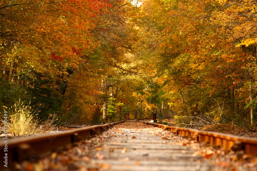 Obraz premium fall train track path