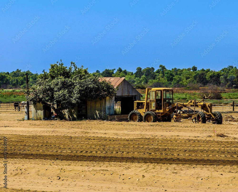 Fototapeta premium The Farm 