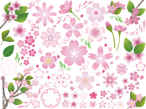 桜の花セット 