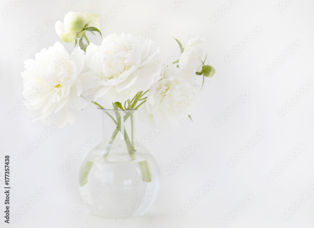 White peony in glass vase on white background