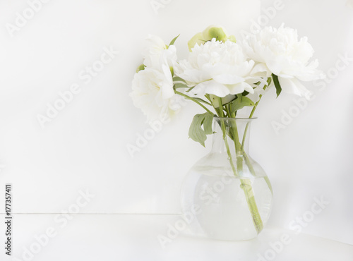 White peony in glass vase on white background