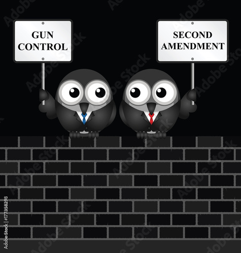 Gun control verses the USA second amendment and the right to keep and bear arms