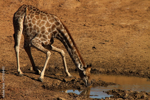 Photography I needed that