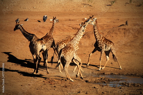 Photography A Quick Drink