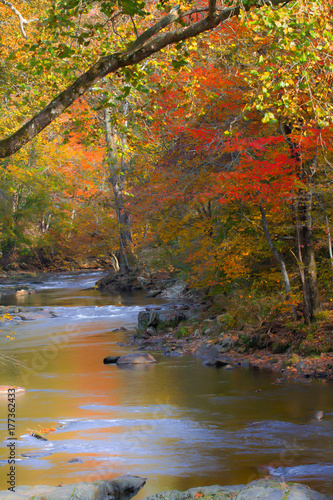 Autumn stream in the mountains with colorful fall foliage