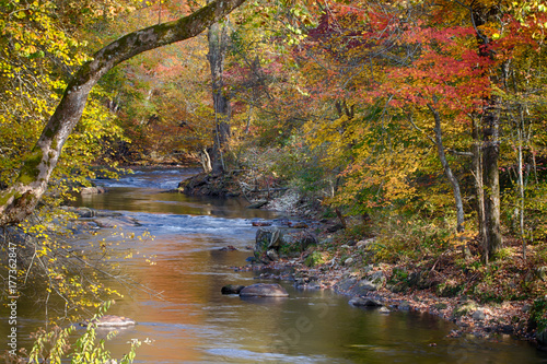 Fototapeta Naklejka Na Ścianę i Meble -  Mountain creek on an autumn day with colorful fall foliage