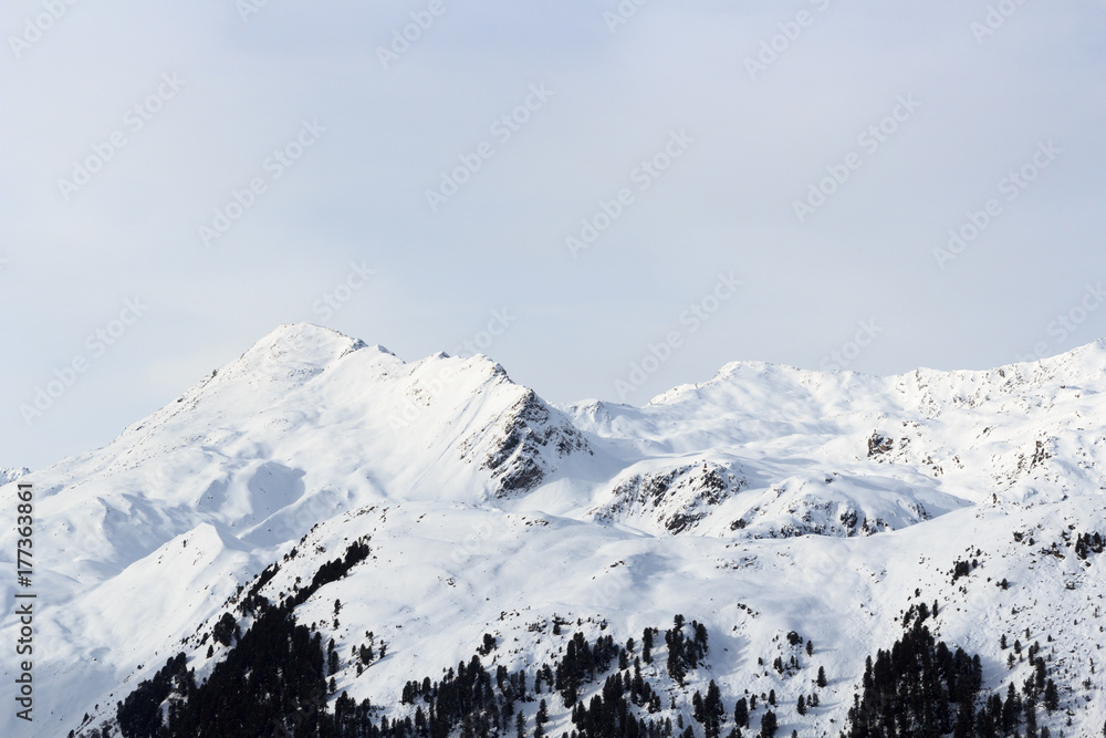 Mountain panorama with snow, trees and blue sky in winter in Stubai Alps, Austria