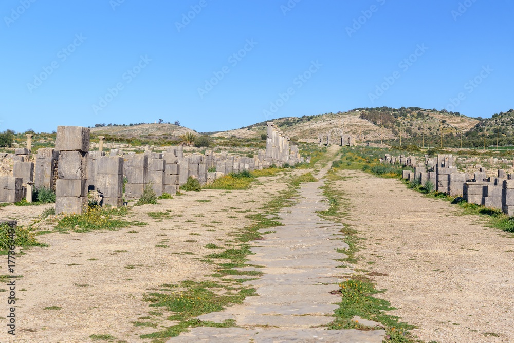 Decumanus Maximus in Roman ruins, ancient Roman city of Volubilis. Morocco Decumanus Maximus in Roman ruins, ancient Roman city of Volubilis. Morocco