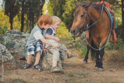 Handsome Young boy with red hair and blue eyes playing with his friend horse pony in forest.Huge love between kid shild and animal pet farm