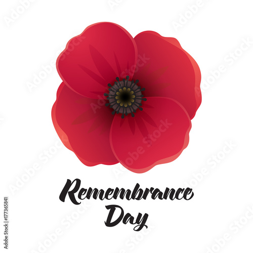 Remembrance day poster