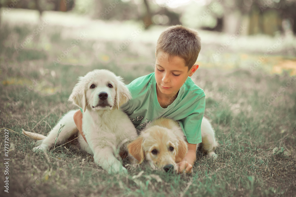 Retriever pup Lovely scene handsom teen boy enjoying summer time vacation with best friend dog ivory white labrador puppy.Happy airily careless childhood life in world of dreams