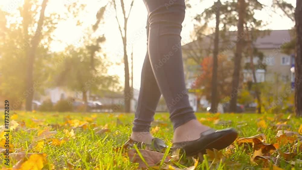Woman walk and kick up yellow leaves by shoe tip, elegant slim legs in black shoes. Lady stroll at park in golden autumn time, play with leaf litter at lawn, throw up dry crunchy colourful leafage. Woman walk and kick up yellow leaves by shoe tip, elegant slim legs in black shoes. Lady stroll at park in golden autumn time, play with leaf litter at lawn, throw up dry crunchy colourful leafage.