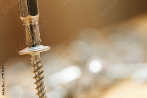 Screwdriver inserted into screw head. Macro photography isolated on blurred background.